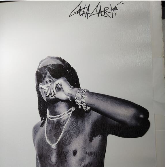 Playboi Carti Album Cover Canvas Print, Hip Hop Rap, Black/White 12x16" Unframed - Picture 2 of 4